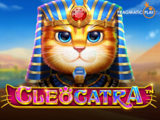 Lucky cat casino3